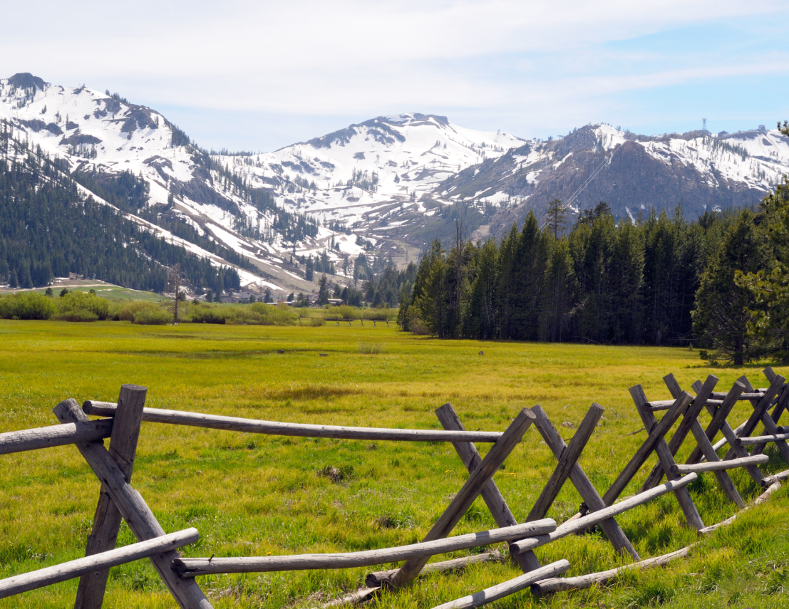 Alpine Meadows