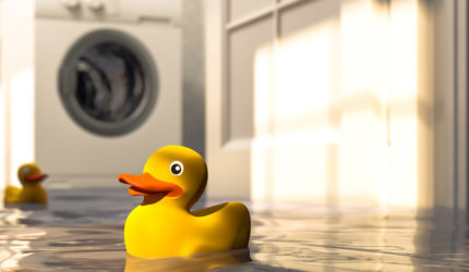rubber duck floating in flooded laundry room